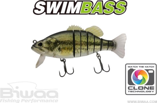 Biwaa Swimbass 6" Slow Sink 15cm 65g 01 Real Bass