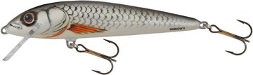 Salmo Wobbler Minnow M6F Gt