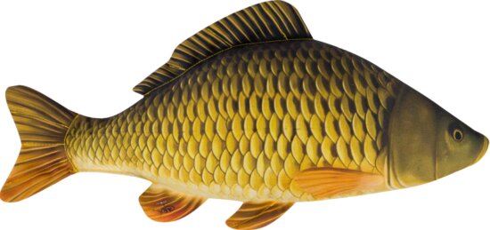 Halas Párna Pikkelyes Ponty Baby