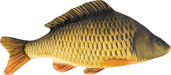 Halas Párna Pikkelyes Ponty