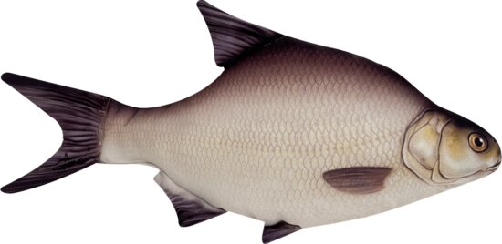 Halas Párna Keszeg 34cm