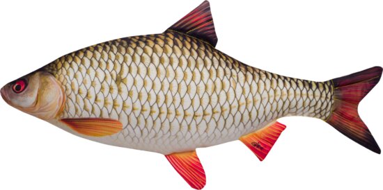 Halas Párna Bodorka