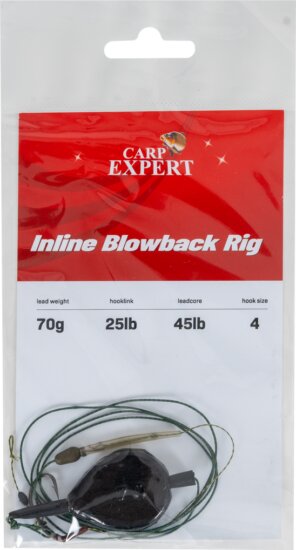 Carp Expert Inline Blow -Back Rig 70g