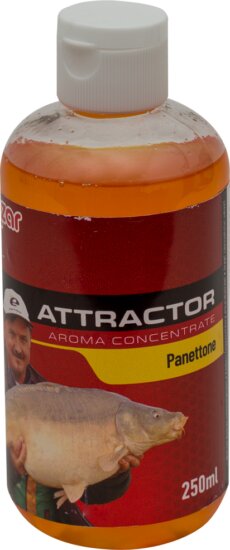 Benzár Mix Aromakoncentratum Panettone 250ml