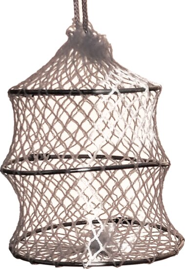 Frenetic autó visszapillantó tükör dísz szák