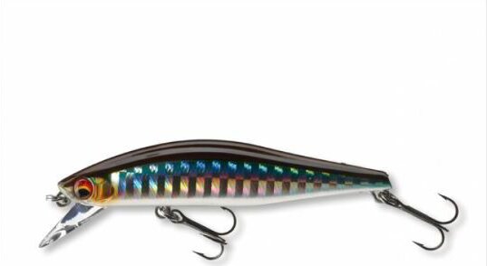 Daiwa Tournament Wise Minnow 70FS (kibinago, 7.0cm, 7.5g)