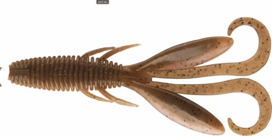 Daiwa Steez Hog (molted shrimp, 5.6cm, 10db)