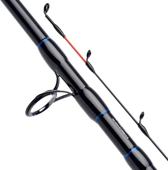 Daiwa N'Zon Extension Feeder 12Q (2+2sct, -80g, 3.65m)