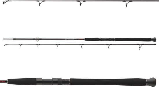 Daiwa Exceler Catfish Spin 902XH (2sct, -185g, 2.70m)
