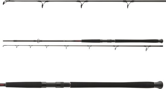 Daiwa Exceler Catfish Boje 1102XXH (2sct, 200-600g, 3.30m)