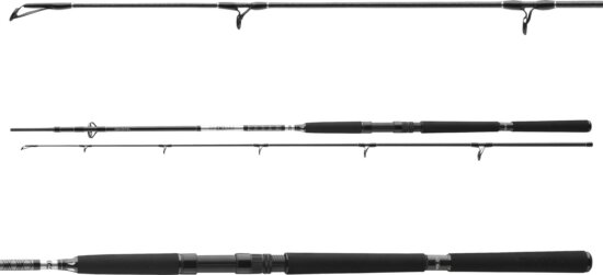 Daiwa BG Offshore Pilk 802XH 2sct, 50-165g, 2.40m