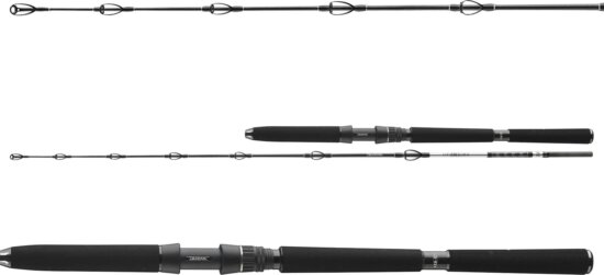 Daiwa BG Deep Sea 742XH 2sct, 150-300g, 2.20m