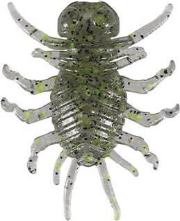 Duo Realis Koninmushi 3.2cm