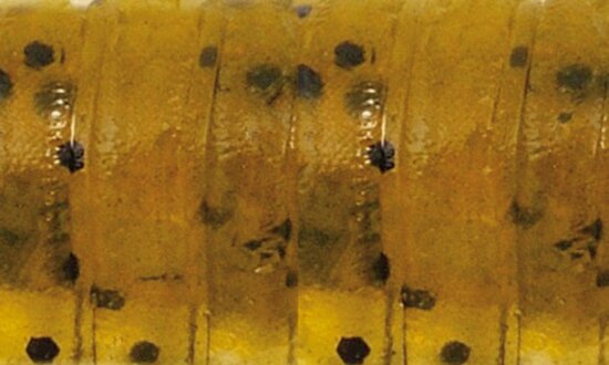 Rapture Ulc Water Shrimp 62mm/1g Watermelon Bf 8 db lágygumi csali