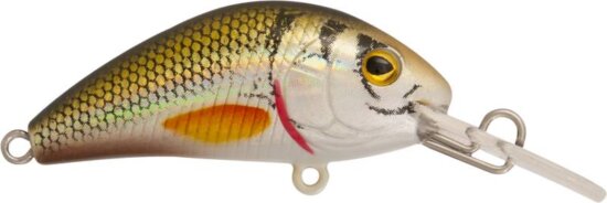 Rapture Pro Evoque F Ntg 40mm/3.5g wobbler