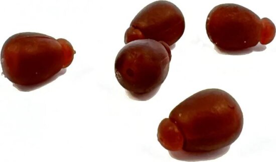 SILSTAR GYORS ZSINÓRSTOPPER S