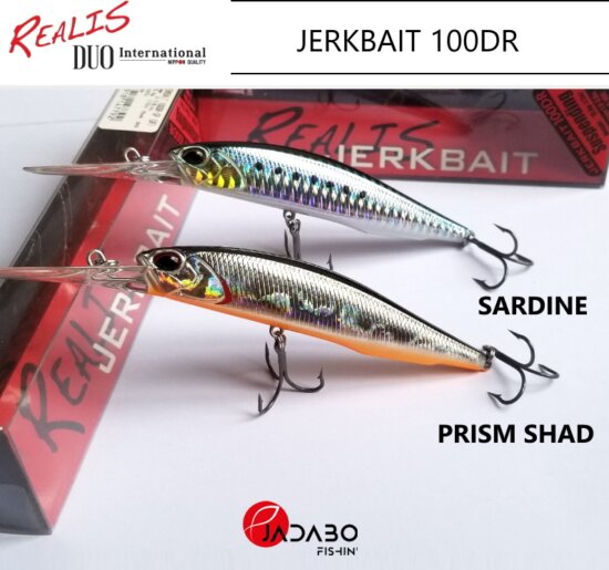 Duo Realis Jerkbait 100Dr