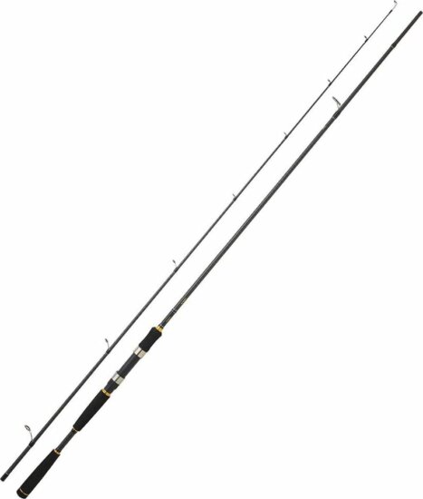 Daiwa LEGALIS Seabass 2,90 m 12-42 g