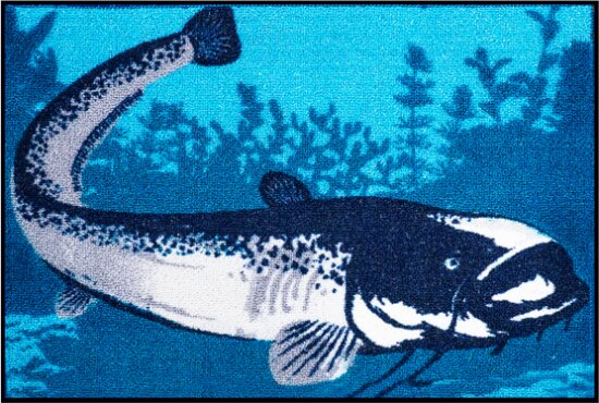 Szőnyeg Delphin CatchMe! HARCSA