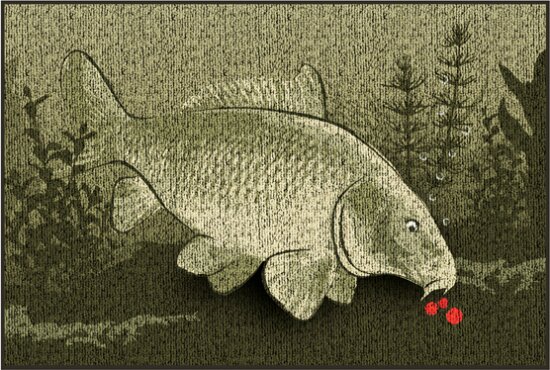 Szőnyeg Delphin CatchMe! PONTY (60x40cm)