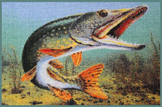 Delphin Szőnyeg 3D csuka (60x40cm)