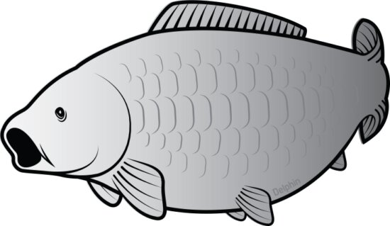 Delphin Öntapadó ponty SILVER