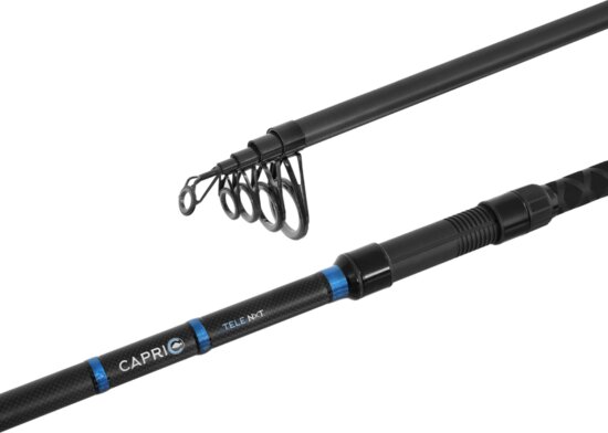 Delphin CAPRI Tele NXT (240cm/60g)