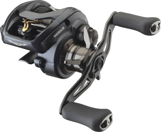 Daiwa Steez A II TW 1000HL (10BB, 90/0.33, 180/0.18)
