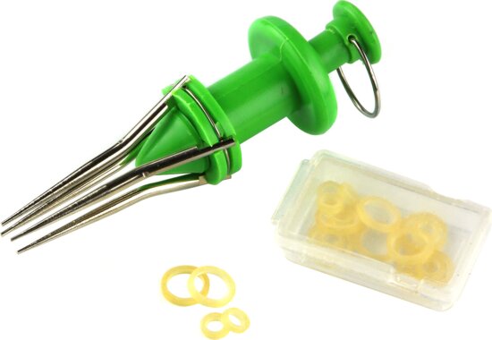 Nevis Csali gyűrűző