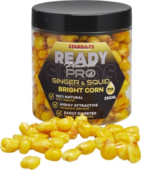 Starbaits Kukorica Bright Ready Seeds Pro Ginger Squid 250ml