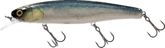 Illex Arnaud 11cm F Shine Katana