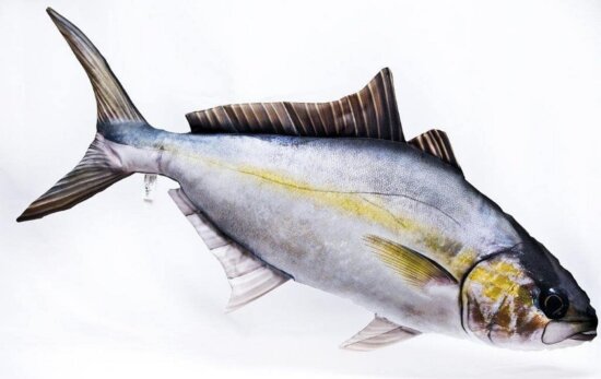 Pillow The Amberjack 105Cm