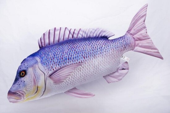 Pillow The Dentex 43