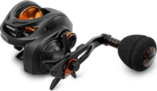 Delphin RUNIX (6+1 SS BB)