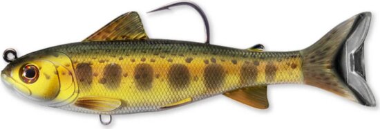 Livetarget Trout (Parr) Swimbaitgold/Olive 109mm 21G Sinking