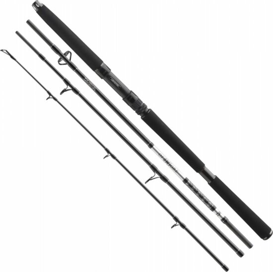 Daiwa BG Offshore Travel 804XH 4sct, 50-200g, 2.40m