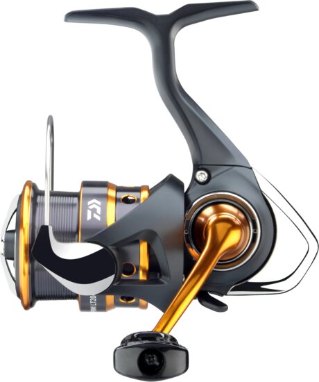 Daiwa 24 Iprimi LT 1000 S-P 6BB, 100/0.12, 130/0.05