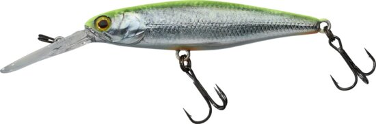 Illex Squirrel DD 6,7cm SP RT Visible Roach