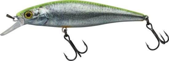 Illex Squad Minnow 9,5cm SP RT Visible Roach
