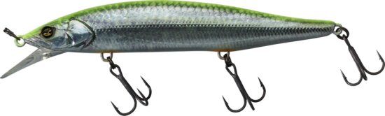 Illex RV Minnow 11cm SP RT Visible Roach