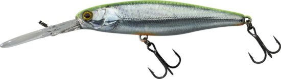 Illex Squirrel DD 7,9cm SP RT Visible Roach