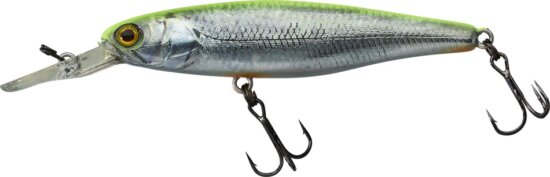 Illex Squirrel 7,6cm SP RT Visible Roach