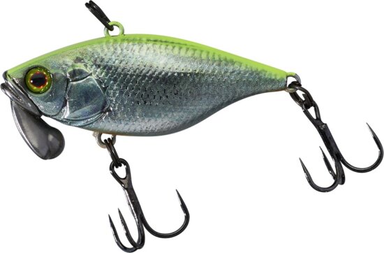 Illex TN Trigon 3,8cm RT Visible Roach