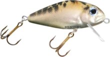 HESTER HORNET 3CM 2,0G 0,6-0,9M 536