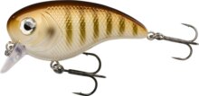 Berkley Pulse Biggie 6cm 16g Goldie plasztik csali