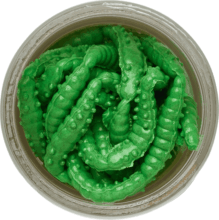 Berkley PowerBait EBPHW2.5-SPGN PWR HONEY WRM 2.5CM SPRGRN gumihal