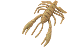 Berkley Gulp! GULP CRABBY 2.5IN BREEN 10 Darab gumihal