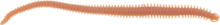 Berkley Gulp! GULP ALIVE HLFP NEREIS 6 Brown Blue Fleck gumihal