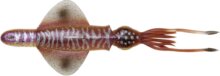 Savage Gear SWIM SQUID RTF 18CM 90GR S CUTTLEFISH plasztik csali