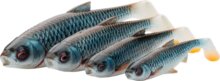 Savage Gear 3D RIVER ROACH B 10CM 10G G AMB 40PCS